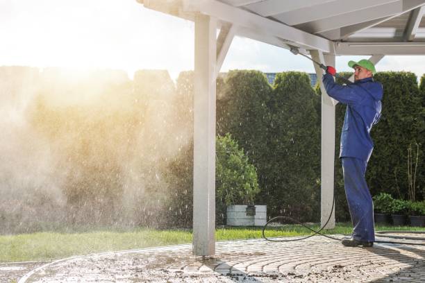 Best Pre-Holiday Cleaning  in Rpinteria, CA
