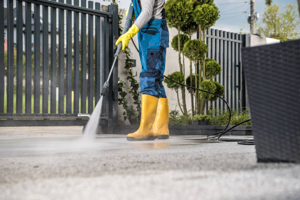 Best Driveway Pressure Washing  in Rpinteria, CA